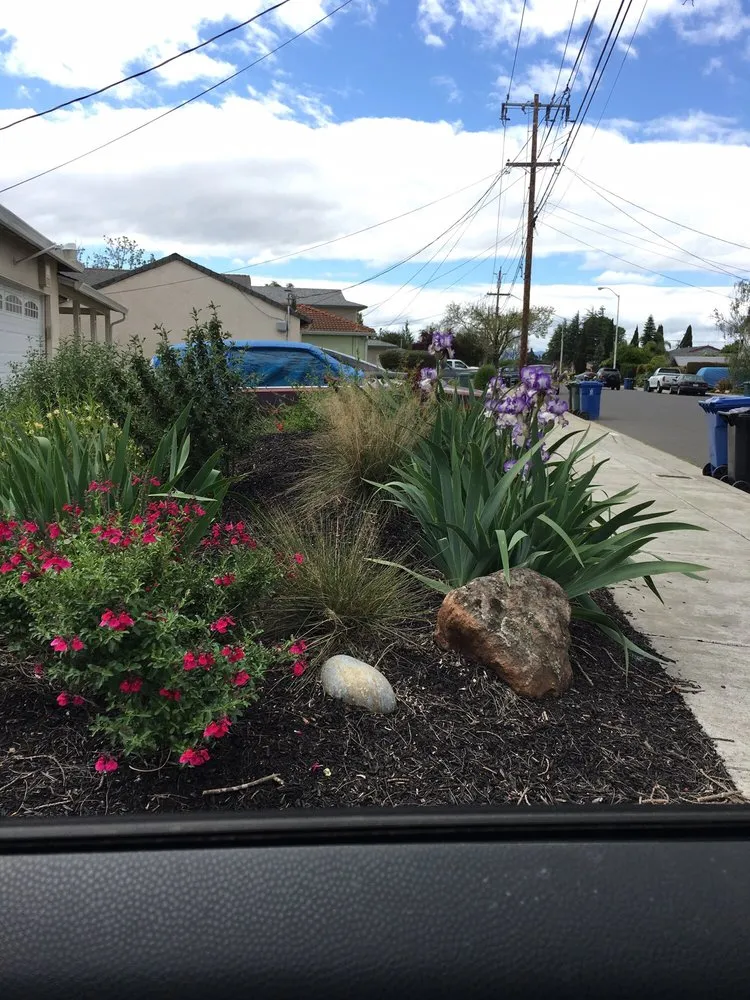 Custom lawn care service with custom design across Oakland, CA - Earthly Sites Earth-Wise Garden Design, Build & Care