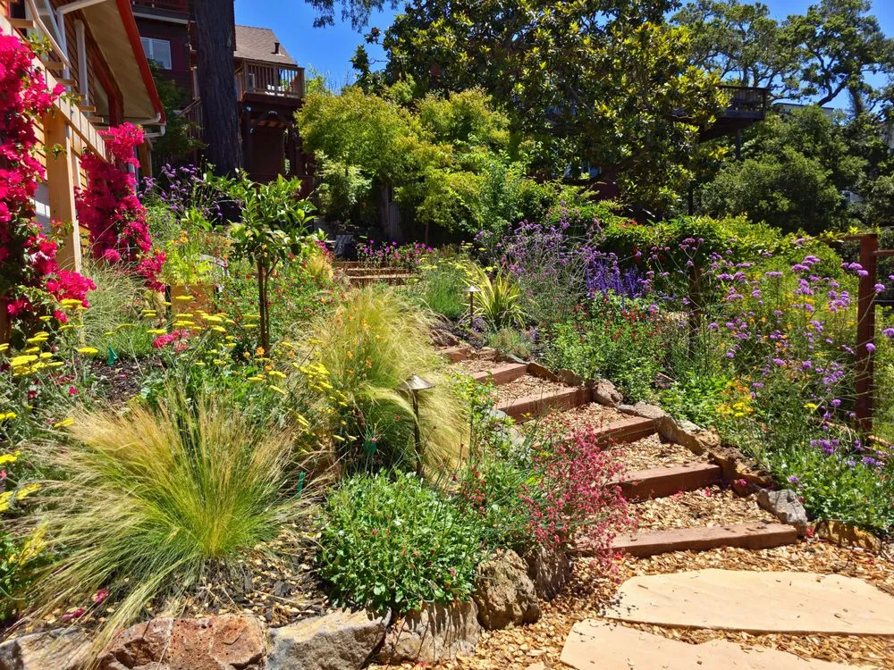 Trusted yard cleanup service with custom design in Oakland, CA by Earthly Sites Earth-Wise Garden Design, Build & Care