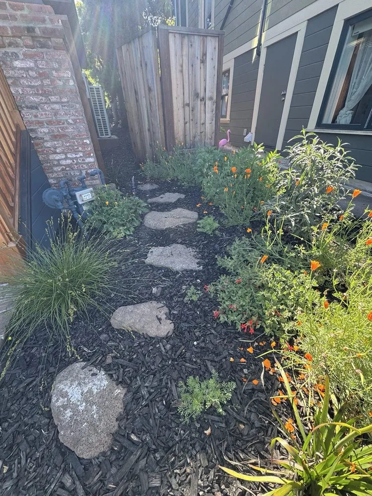 Trusted yard cleanup service in Oakland, CA by Earthly Sites Earth-Wise Garden Design, Build & Care