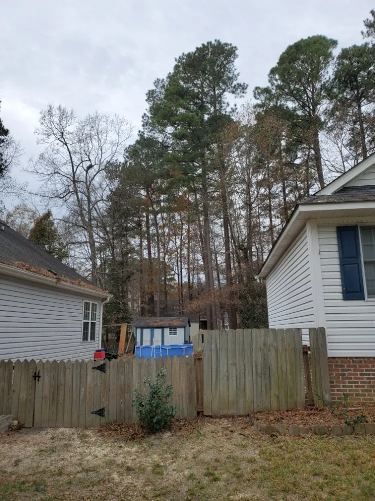 Affordable yard cleanup service for outdoor upgrades across Raleigh, NC - Earthly Touch