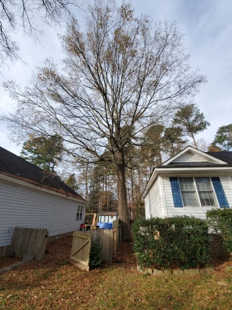 Custom residential landscaping in Raleigh, NC - Earthly Touch