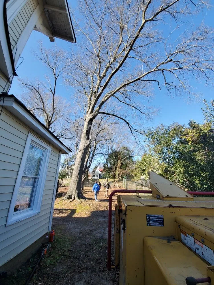 Professional landscape installation for year-round maintenance across Raleigh, NC - Earthly Touch