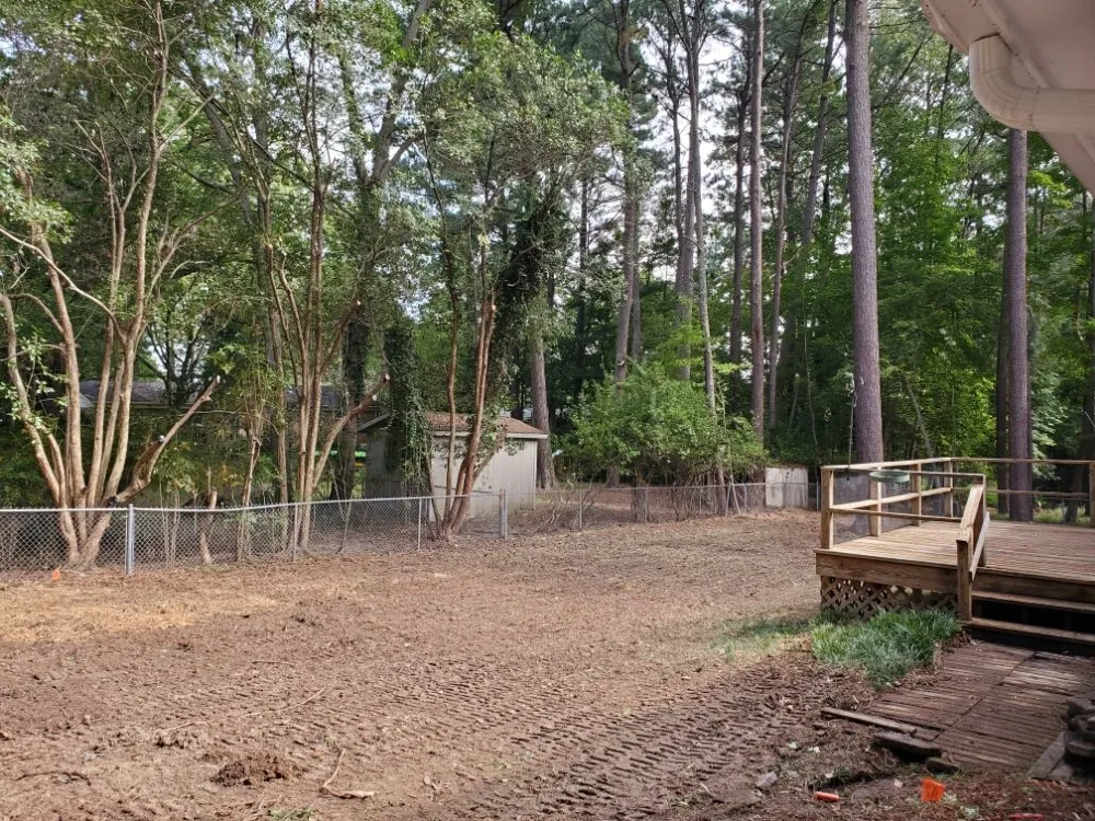 Top-rated residential landscaping for homes in Raleigh, NC by Earthly Touch