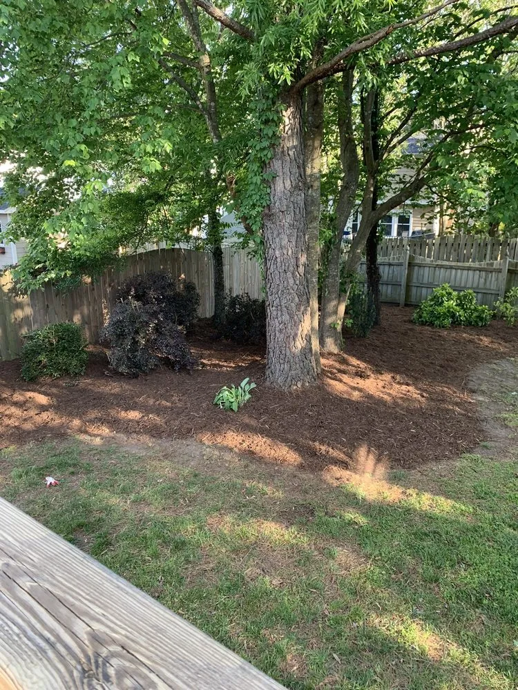 Top-rated yard cleanup service experts serving Raleigh, NC - Earthly Touch