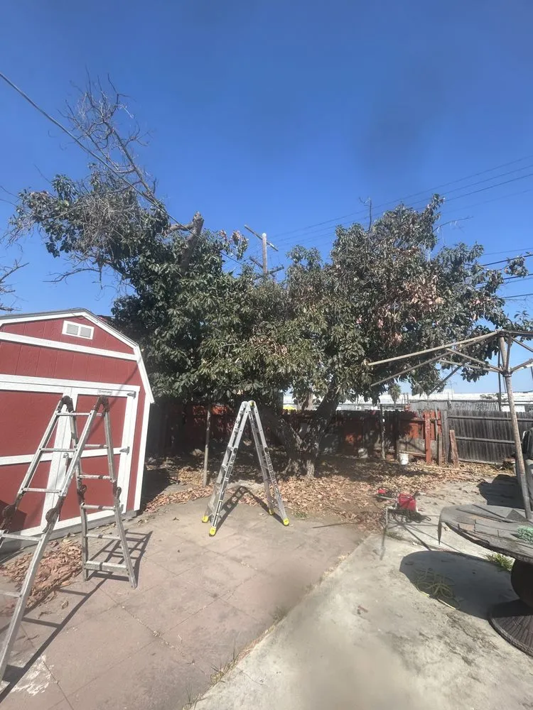 Top-rated outdoor landscaping experts serving Firestone Park, CA - Earthly Vista