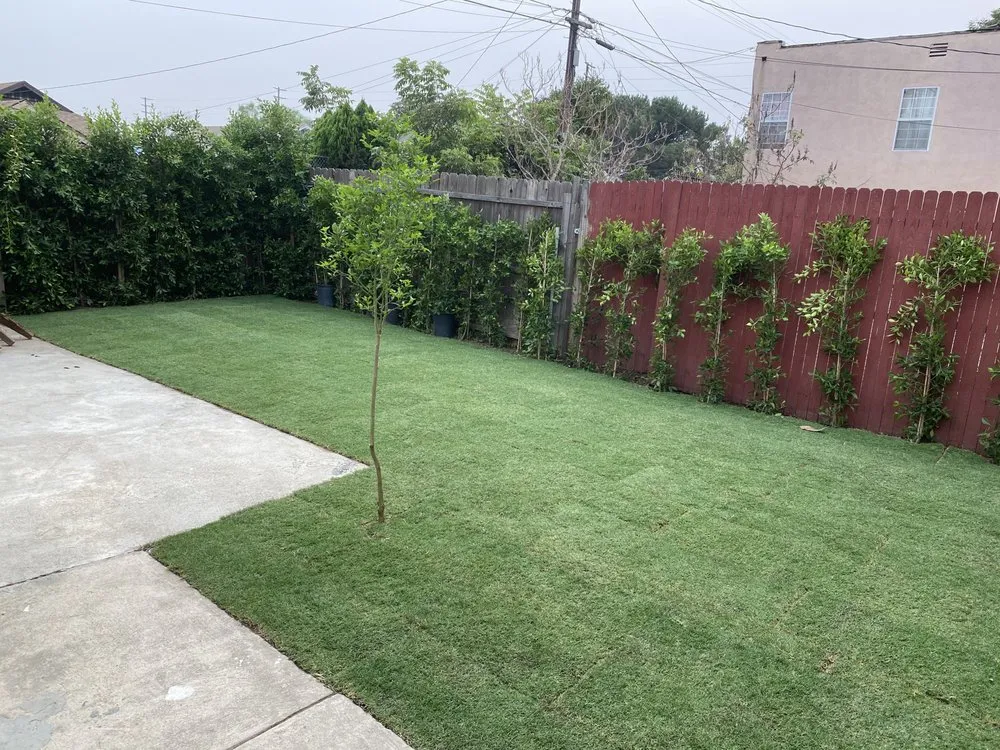 Local yard cleanup service for beautiful yards across Firestone Park, CA - Earthly Vista