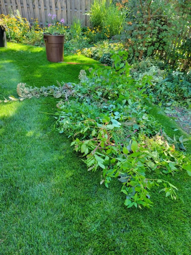 Local landscape design in Downers Grove, IL - Earthman Landscaping