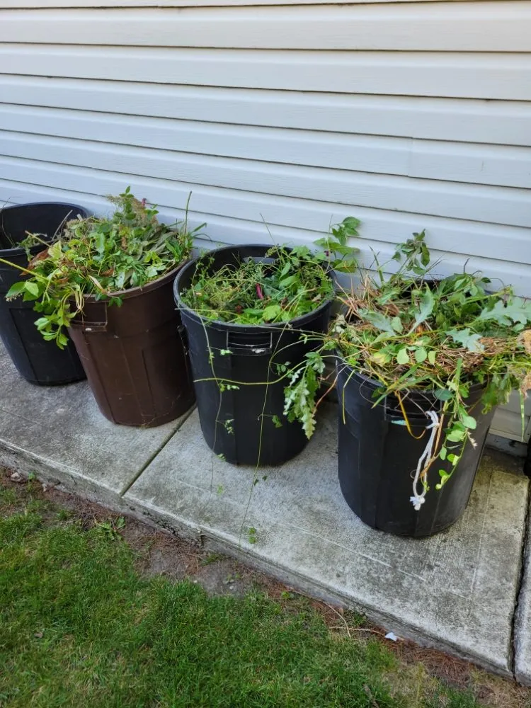 Local lawn mowing service for year-round maintenance in Downers Grove, IL by Earthman Landscaping