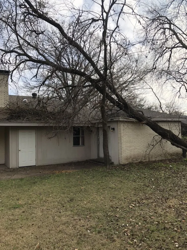 Local lawn care service in Rockwall, TX by EarthPro