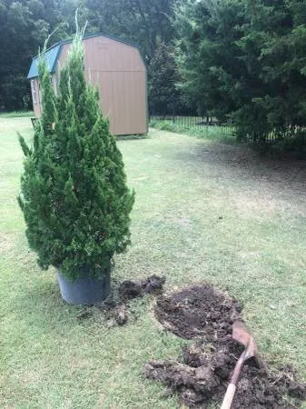 Top-rated residential landscaping in Rockwall, TX - EarthPro