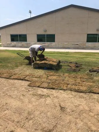 Top-rated lawn care service for beautiful yards across Rockwall, TX - EarthPro