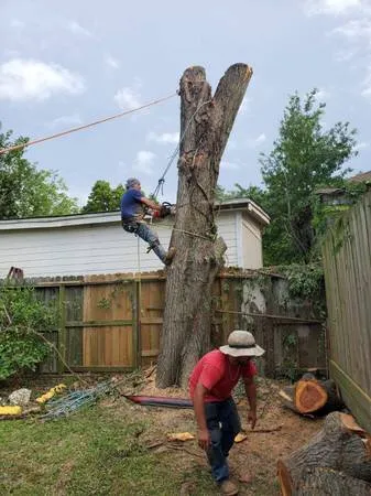 Reliable yard maintenance in Rockwall, TX by EarthPro