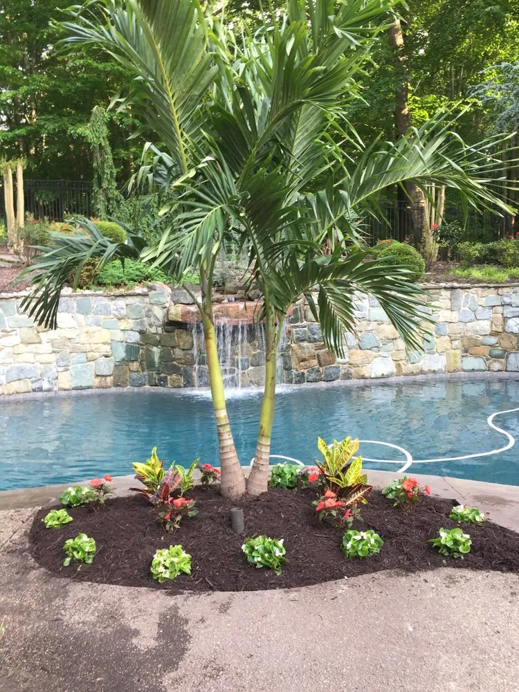 Professional yard cleanup service in Gambrills, MD by Earthrise Landscape