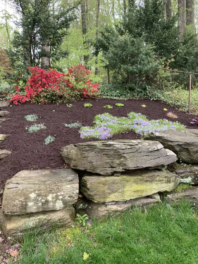 Professional yard cleanup service for homes across Gambrills, MD - Earthrise Landscape