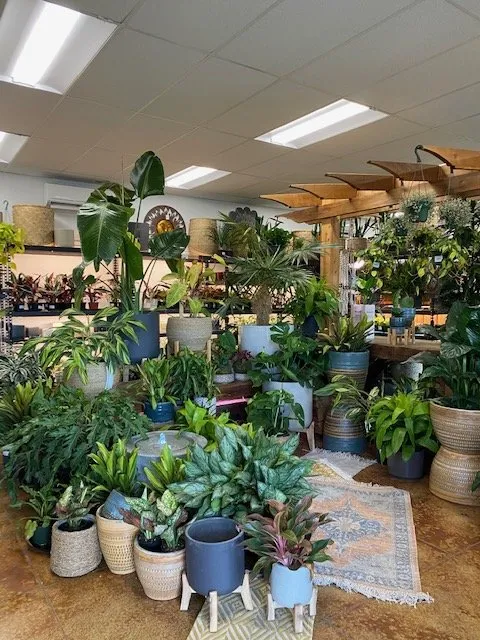 Affordable yard cleanup service in Redmond, OR - Earth's Art