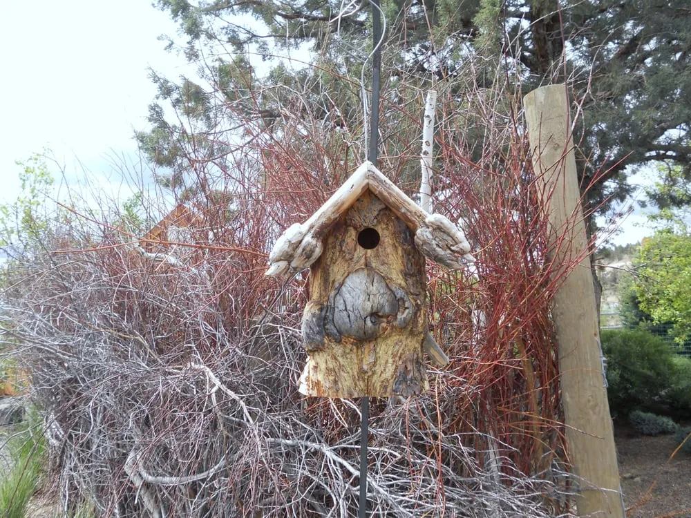 Top-rated outdoor landscaping with custom design across Redmond, OR - Earth's Art