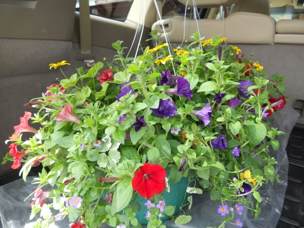 Affordable yard maintenance in Redmond, OR - Earth's Art