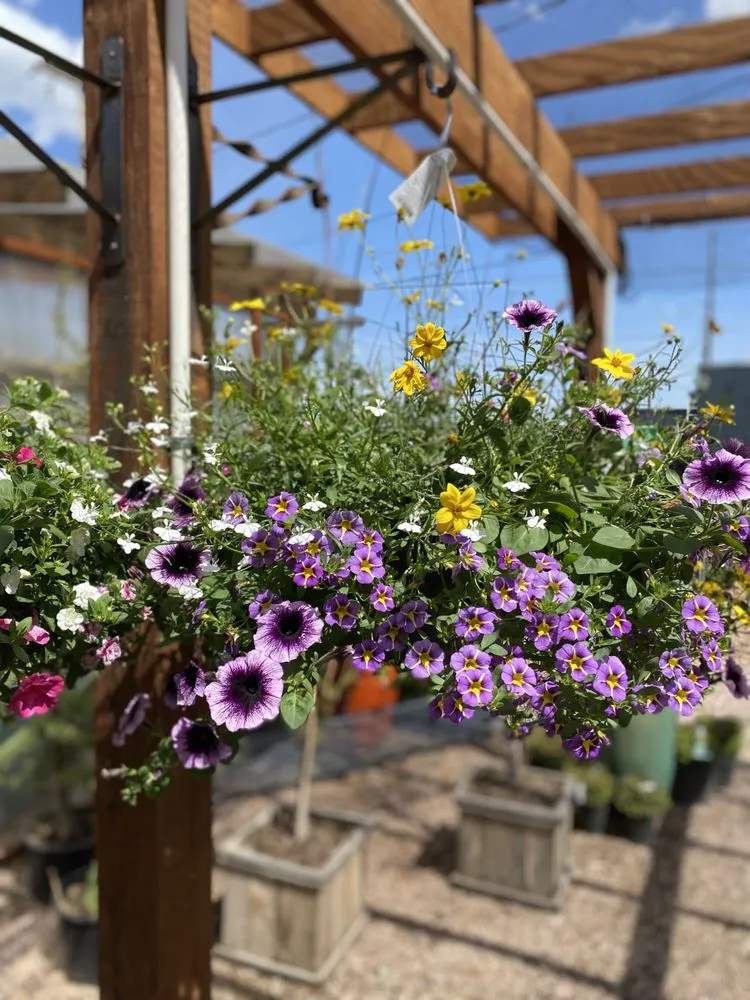 Trusted yard cleanup service for residential properties across Redmond, OR - Earth's Art