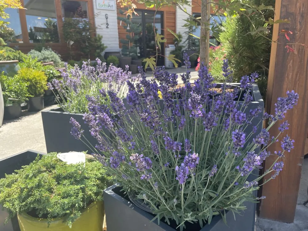 Trusted landscaping services in Redmond, OR - Earth's Art