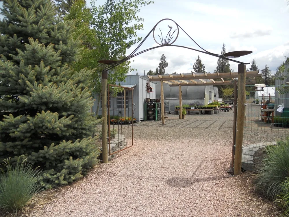 Trusted lawn mowing service with custom design across Redmond, OR - Earth's Art