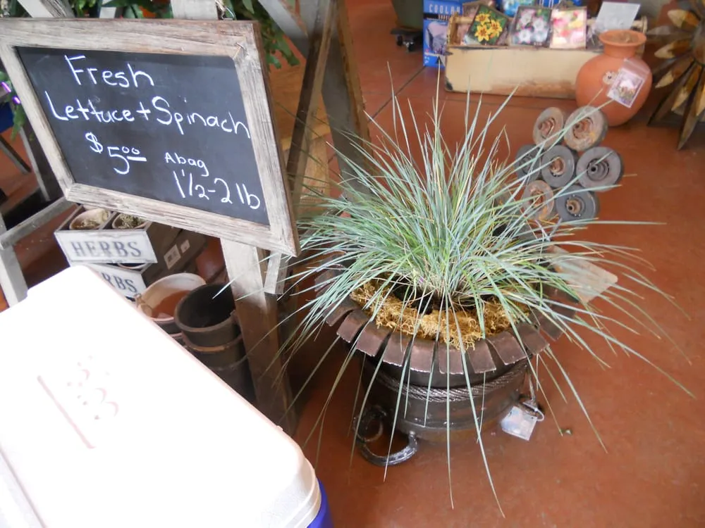 Top-rated landscape installation for residential properties in Redmond, OR by Earth's Art