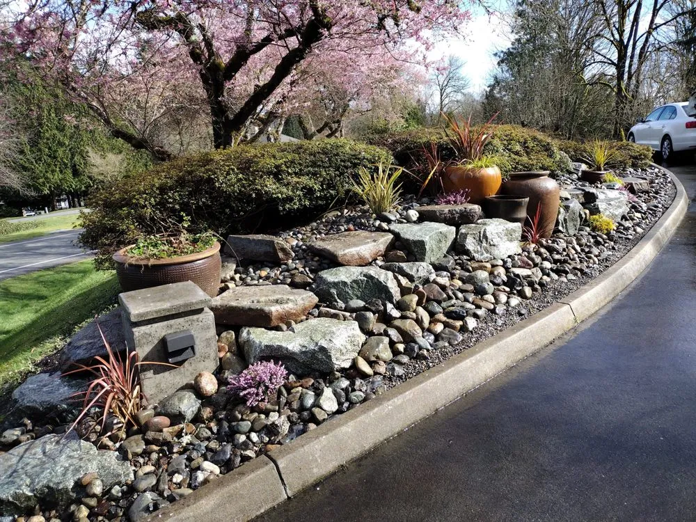 Professional yard cleanup service for year-round maintenance in Sammamish, WA by Earth's Element