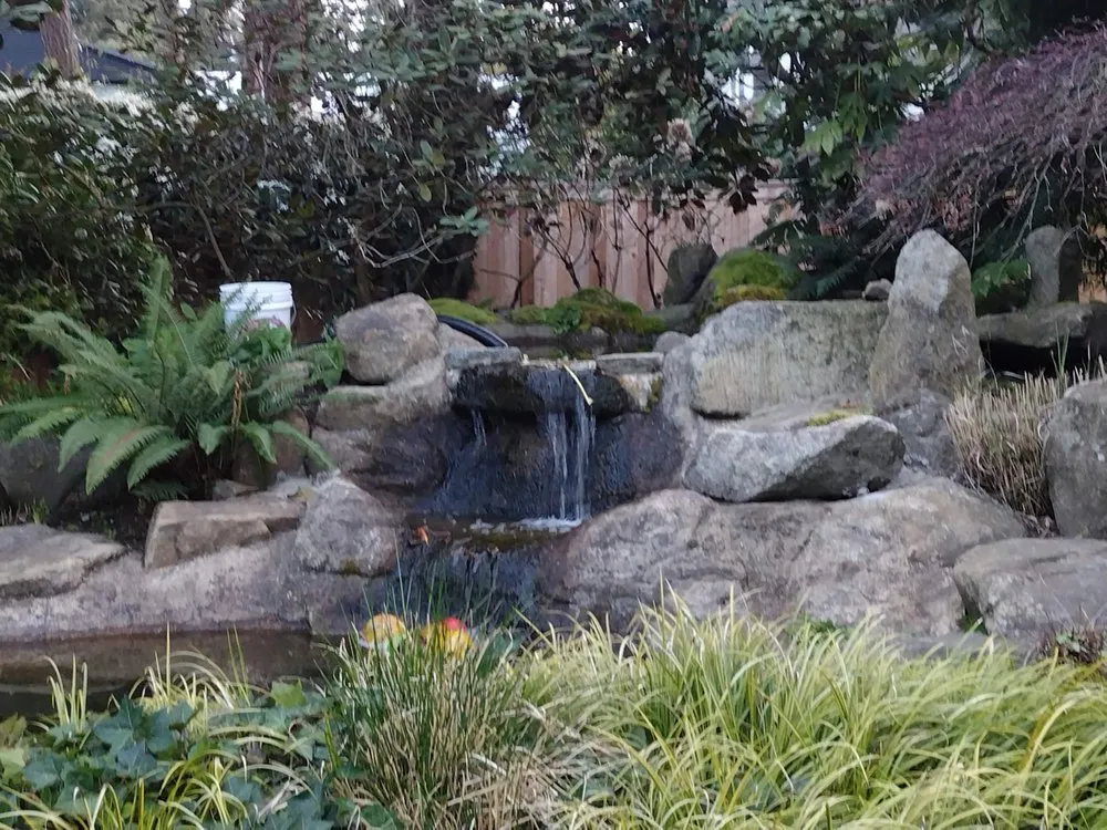 Reliable outdoor landscaping near you in Sammamish, WA by Earth's Element
