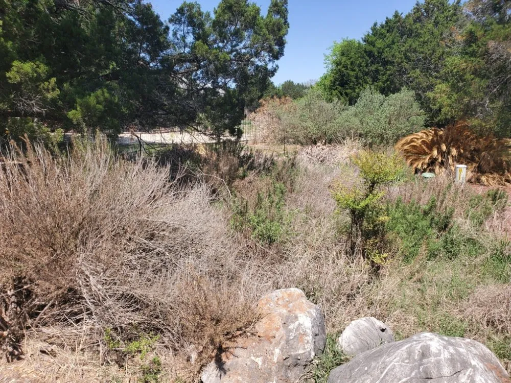 Professional yard maintenance for residential properties across San Antonio, TX - Earths Finest Tree Services