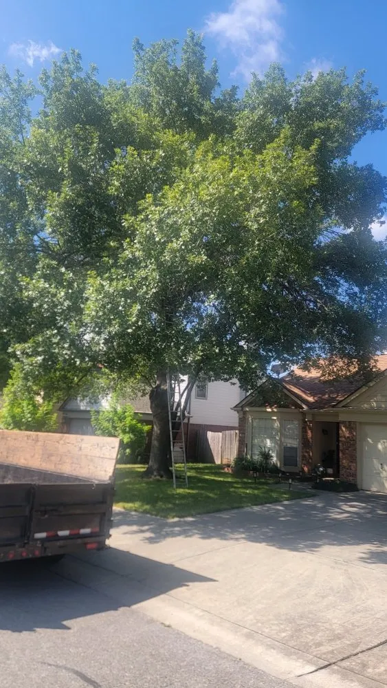 Reliable landscaping services for residential properties in San Antonio, TX by Earths Finest Tree Services