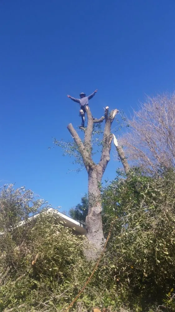 Trusted lawn mowing service for homes across San Antonio, TX - Earths Finest Tree Services