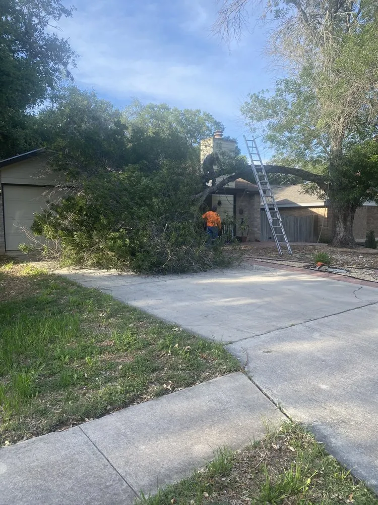 Custom yard cleanup service experts serving San Antonio, TX - Earths Finest Tree Services