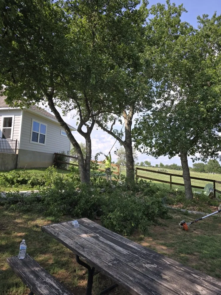 Custom landscaping services experts serving San Antonio, TX - Earths Finest Tree Services