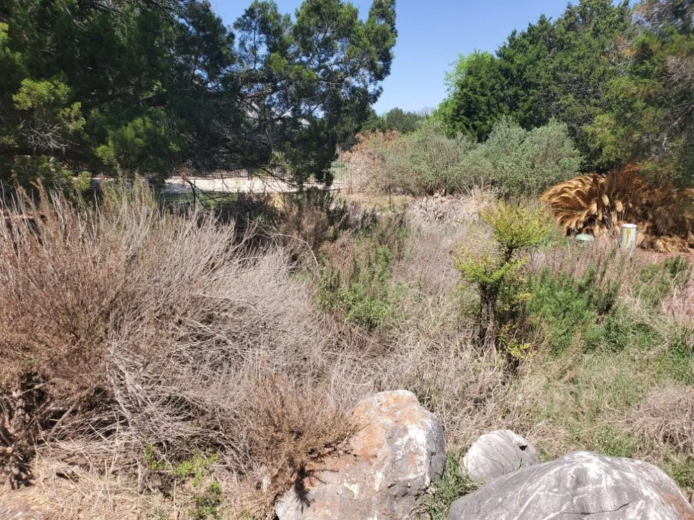 Reliable outdoor landscaping for residential properties in San Antonio, TX by Earths Finest Tree Services