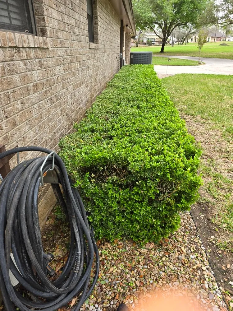 Trusted outdoor landscaping in San Antonio, TX by Earths Finest Tree Services