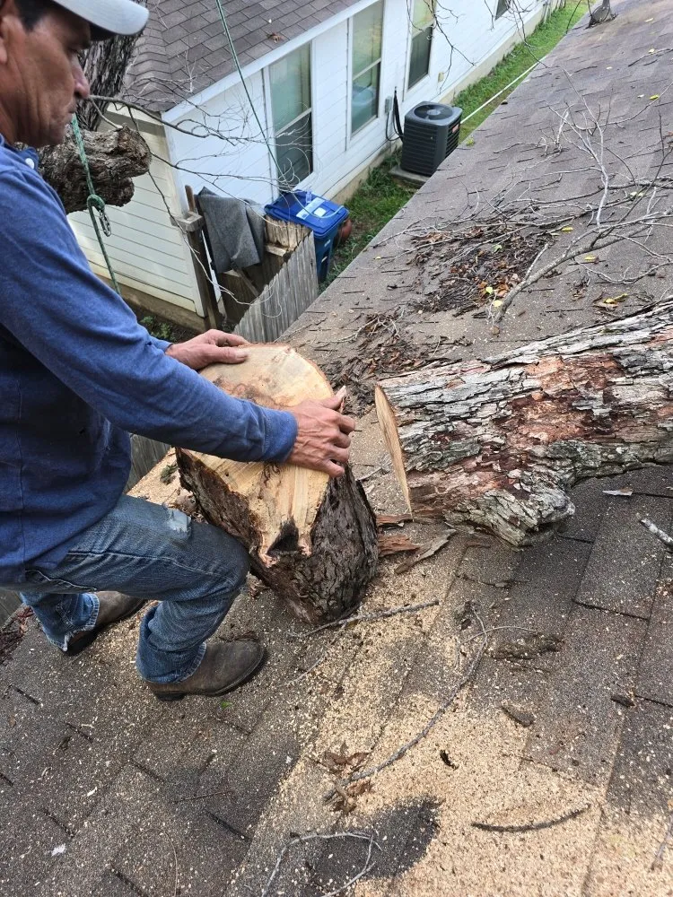 Affordable outdoor landscaping for year-round maintenance across San Antonio, TX - Earths Finest Tree Services