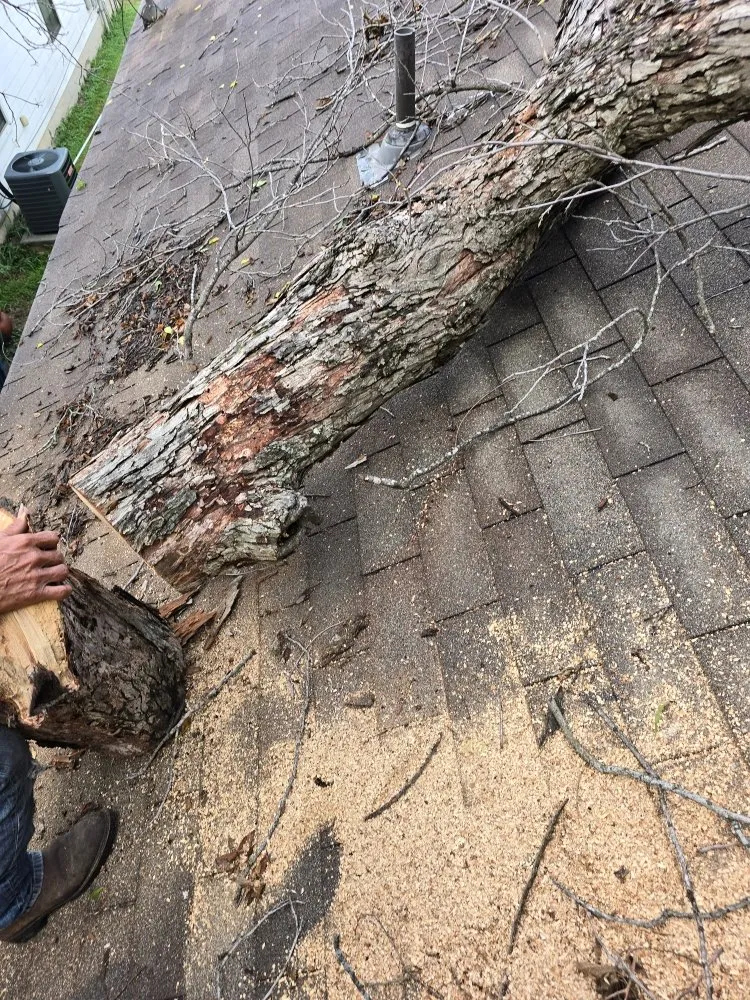 Professional residential landscaping in San Antonio, TX by Earths Finest Tree Services