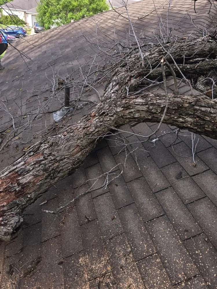 Trusted garden landscaping in San Antonio, TX by Earths Finest Tree Services