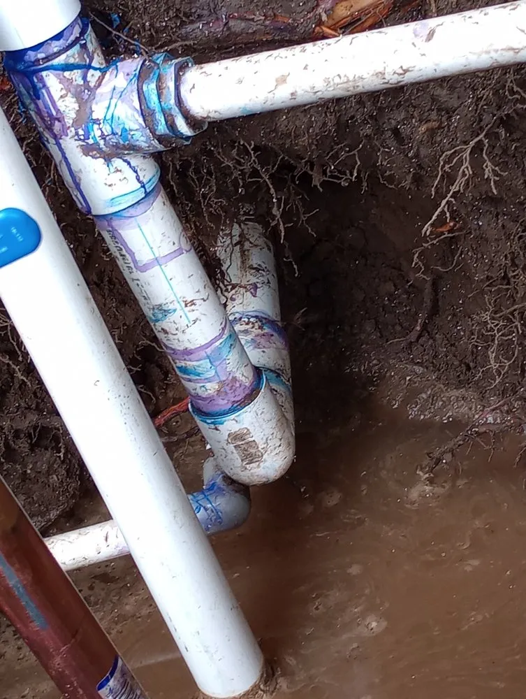 Top-rated landscape installation experts serving Azusa, CA - Earth's Landscapes