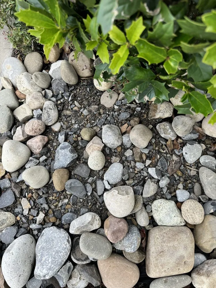 Local landscape design experts serving Myrtle Beach, SC - Earths Living Landscaping