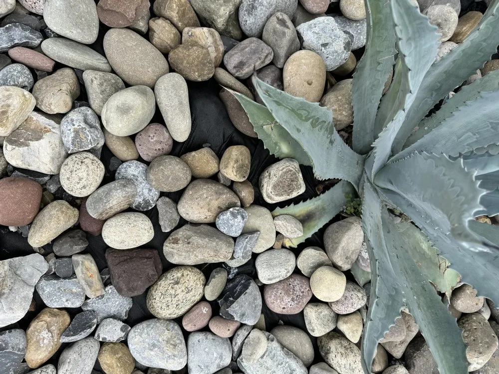 Local landscape design for homes in Myrtle Beach, SC by Earths Living Landscaping