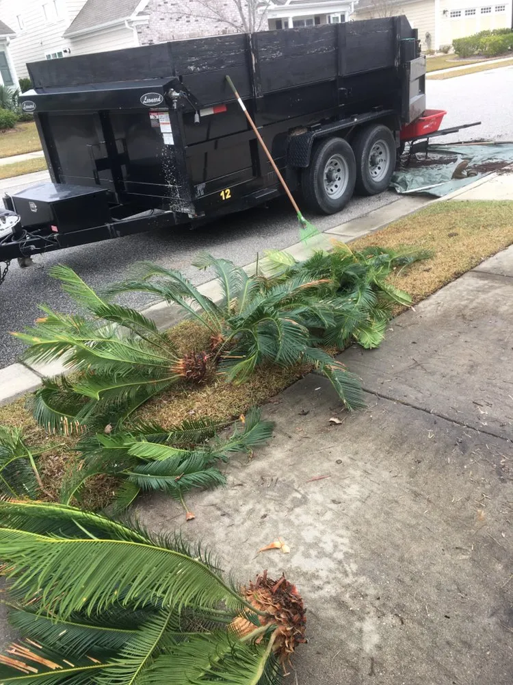 Top-rated yard cleanup service in Myrtle Beach, SC by Earths Living Landscaping