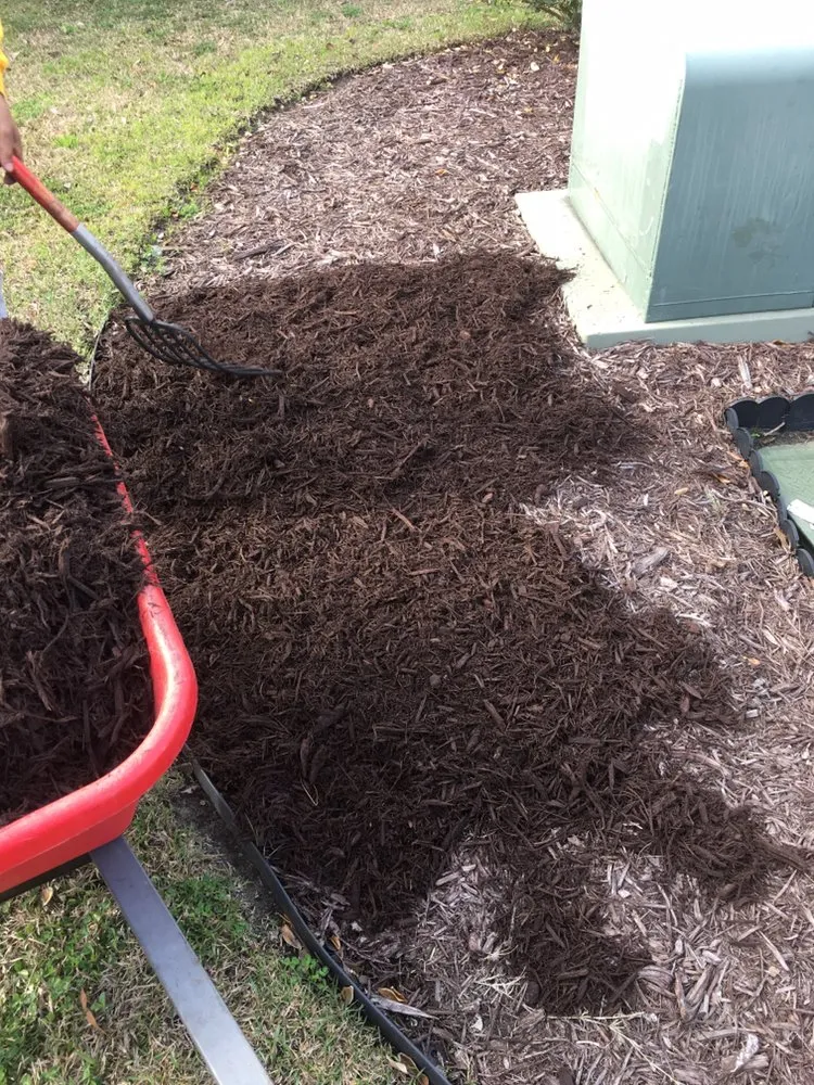 Top-rated yard cleanup service experts serving Myrtle Beach, SC - Earths Living Landscaping