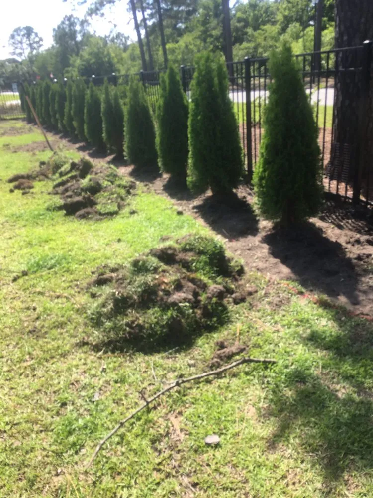 Top-rated residential landscaping experts serving Myrtle Beach, SC - Earths Living Landscaping