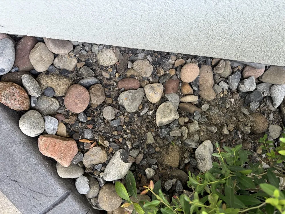 Reliable landscape design in Myrtle Beach, SC by Earths Living Landscaping