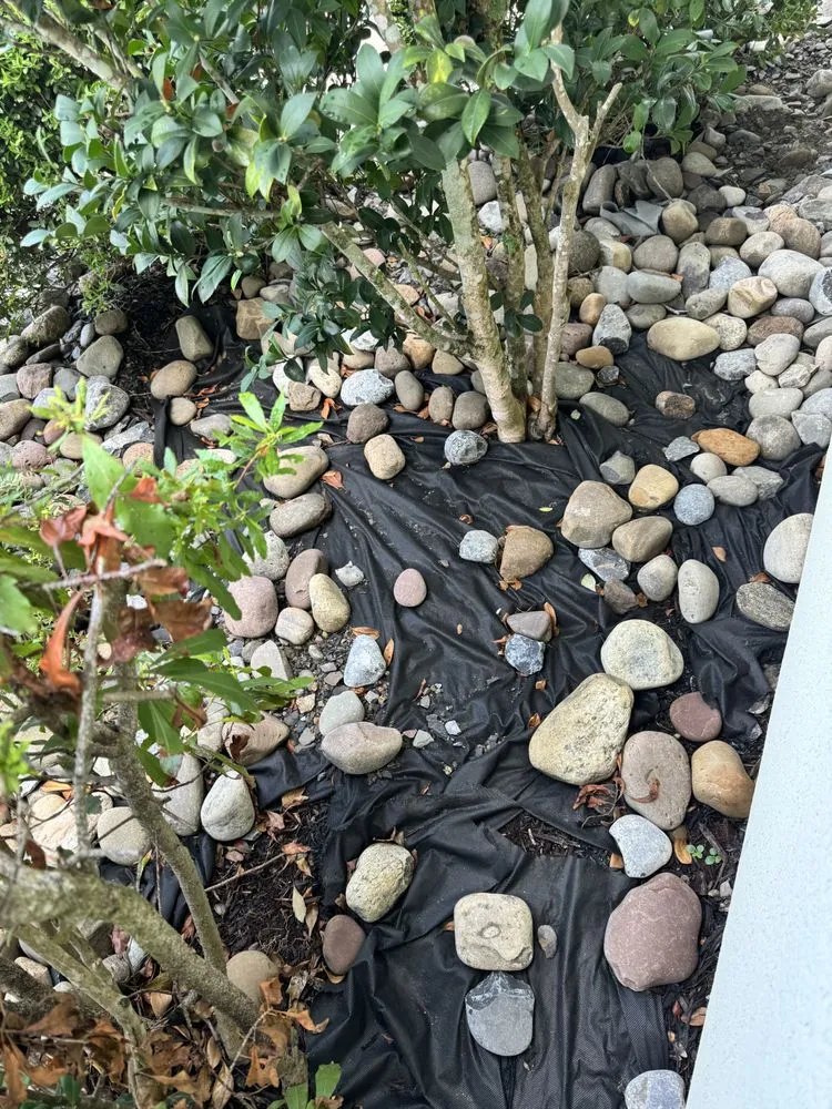 Custom yard cleanup service for homes in Myrtle Beach, SC by Earths Living Landscaping