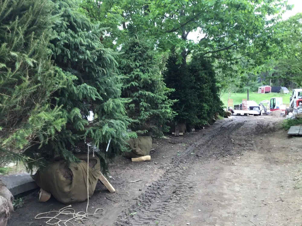 Reliable landscaping services near you in Groton, MA by Earthscape