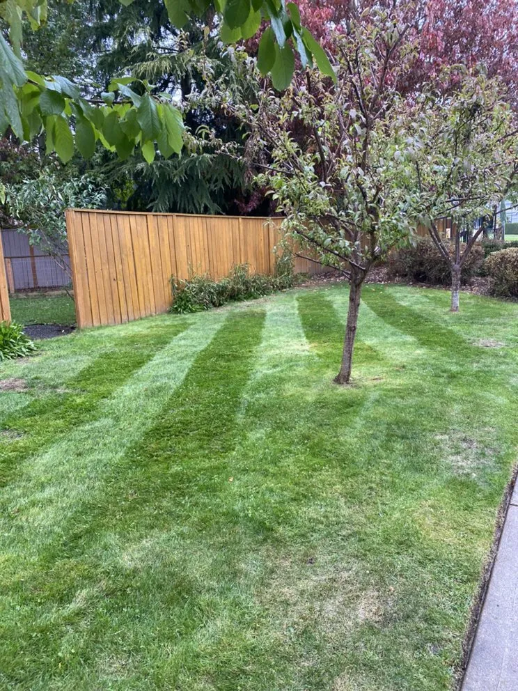 Professional lawn care service in Vancouver, WA by Earthscape Landscaping