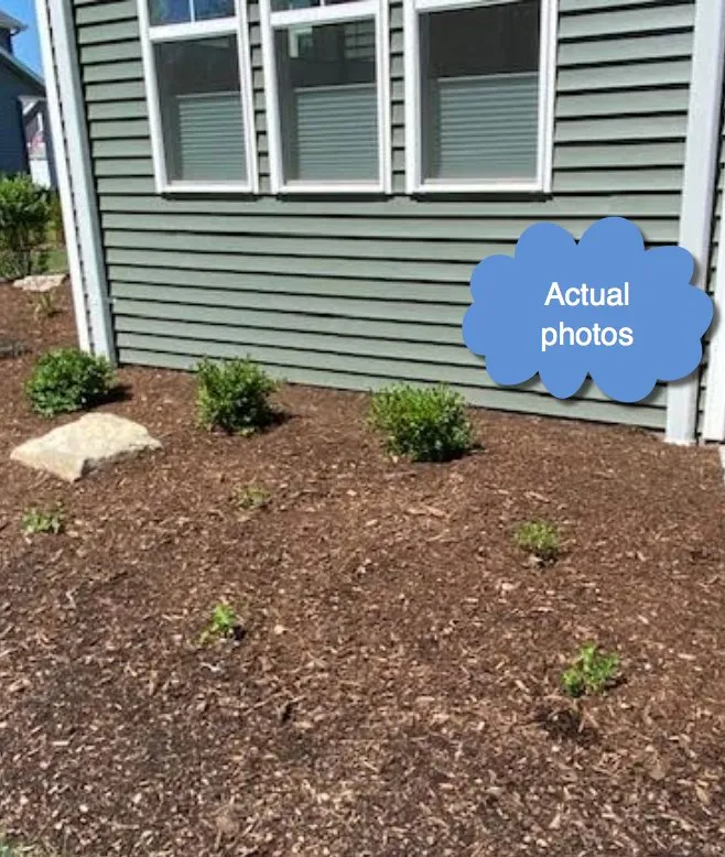 Expert lawn care service experts serving Neenah, WI - Earthscape