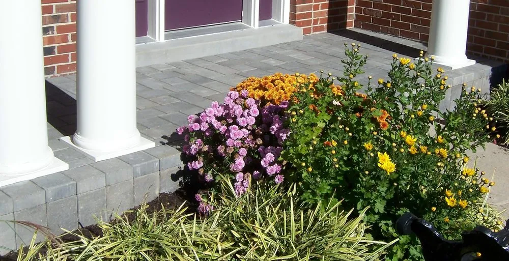 Local lawn care service in St. Louis, MO by Earthscapes & Construction