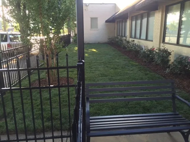 Expert yard cleanup service in Chattanooga, TN by Earthscapes